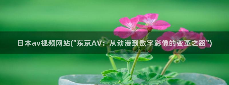 手机在线av网站