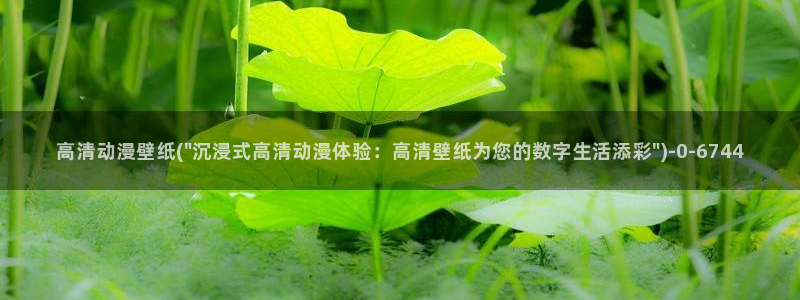 动漫国