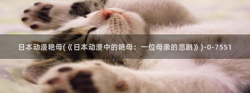 58动漫网
