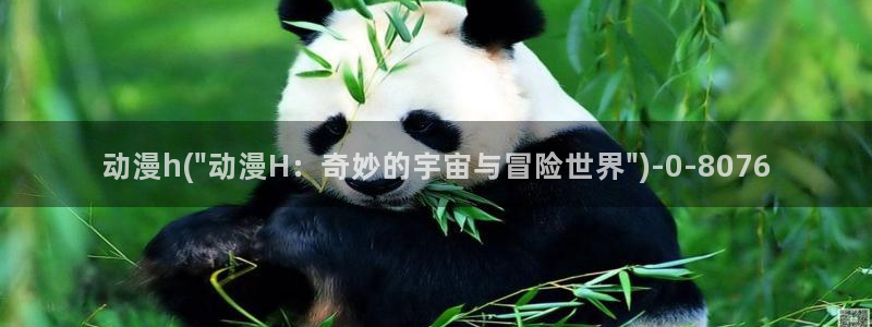 58动漫网