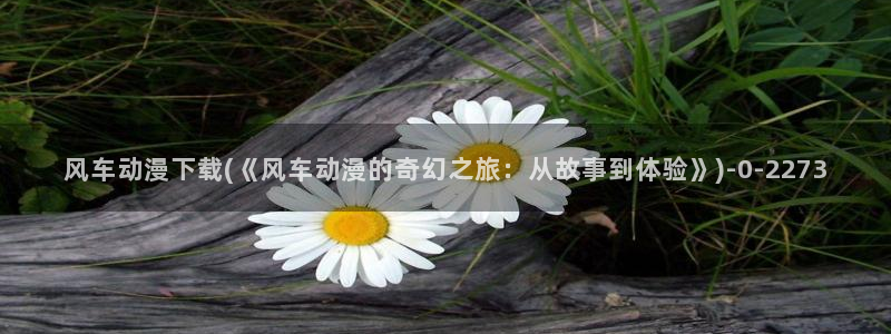 夫妻成长日记动漫