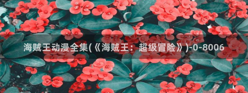 看动漫的网站